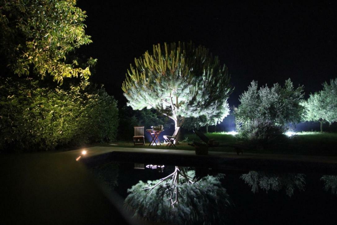 Premantura Olive Gardenヴィラ エクステリア 写真