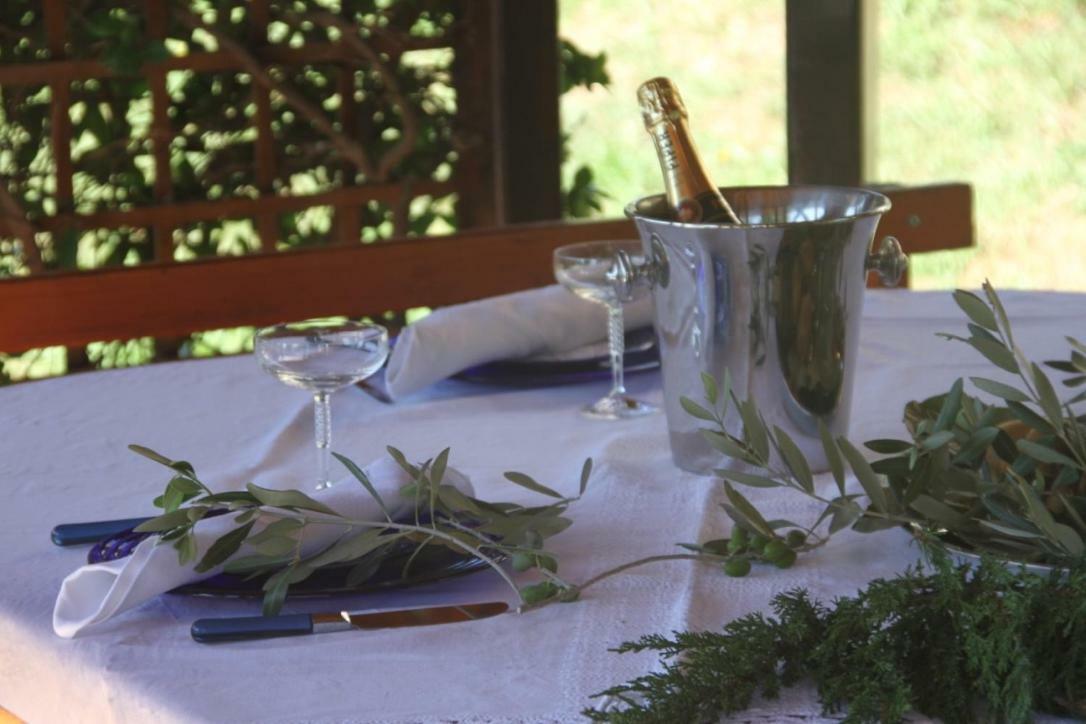 Premantura Olive Gardenヴィラ エクステリア 写真