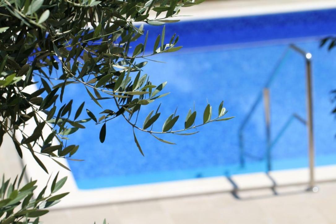 Premantura Olive Gardenヴィラ エクステリア 写真