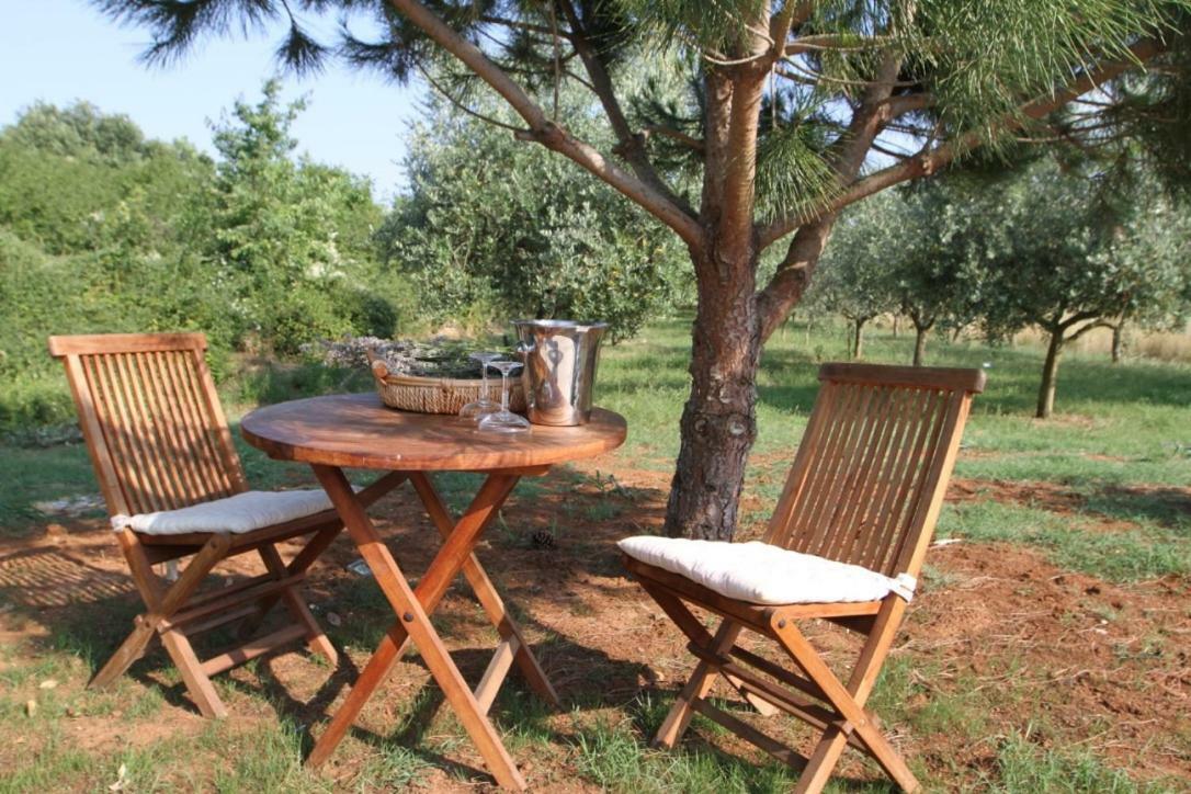 Premantura Olive Gardenヴィラ エクステリア 写真